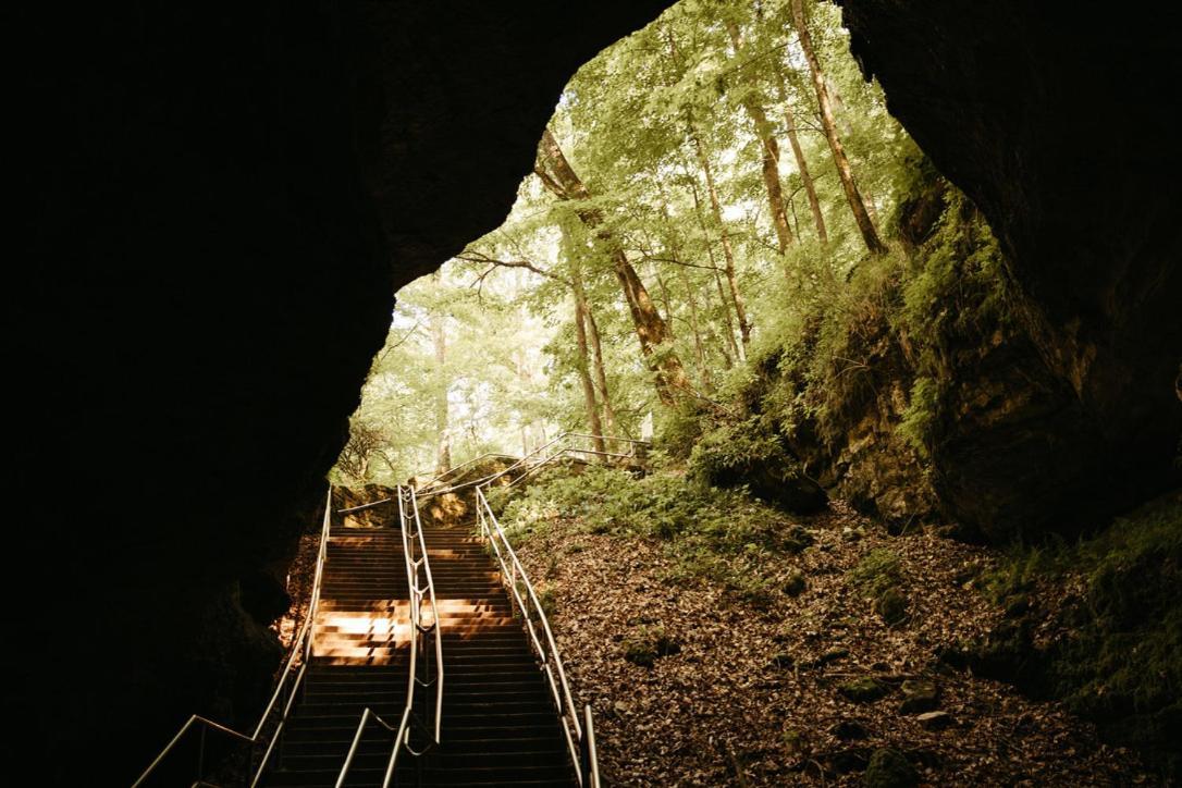 Mammoth Cave Lodge And Cabins 외부 사진